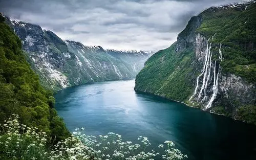 高标准电子